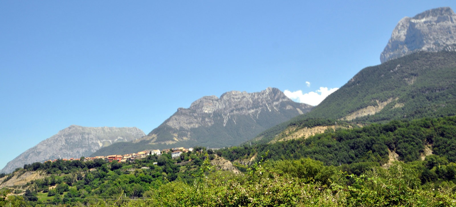 Dsc 0305