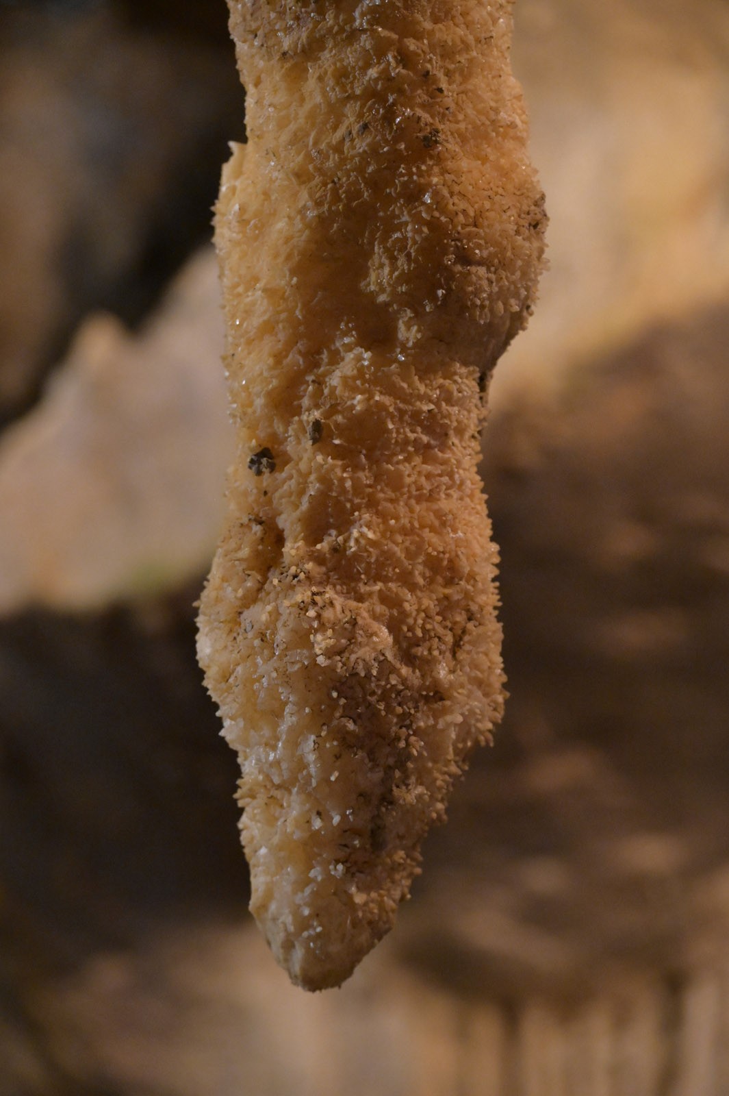 Dsc 4936