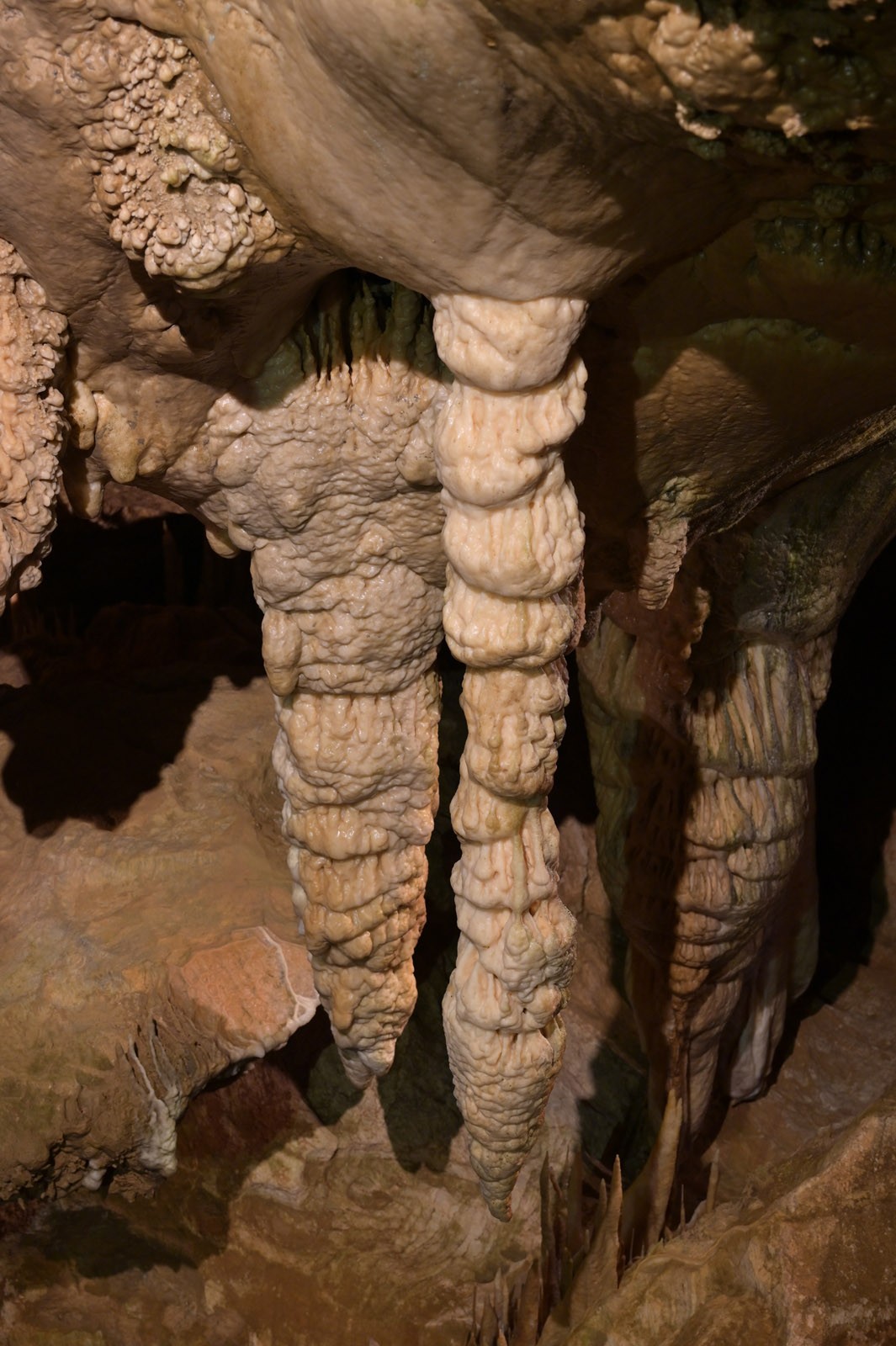Dsc 4938
