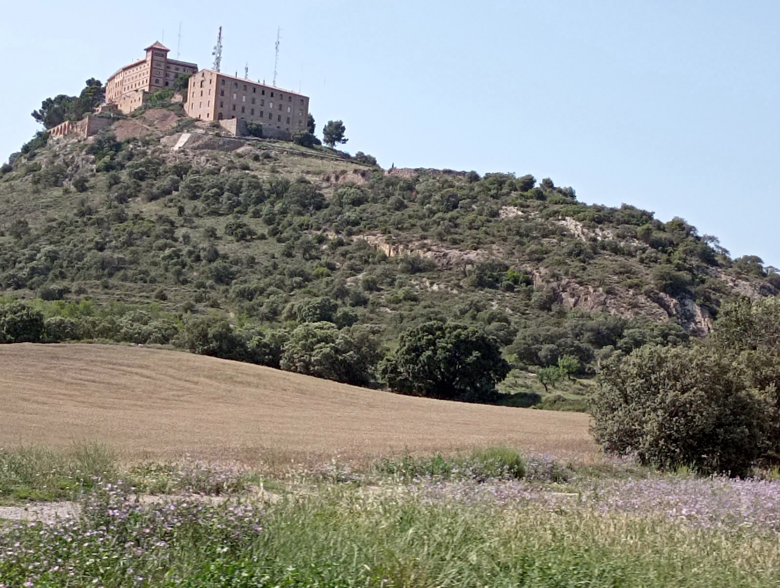 Img 20230623 172235