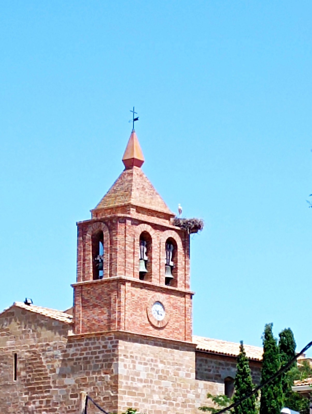 Img 20230624 144743