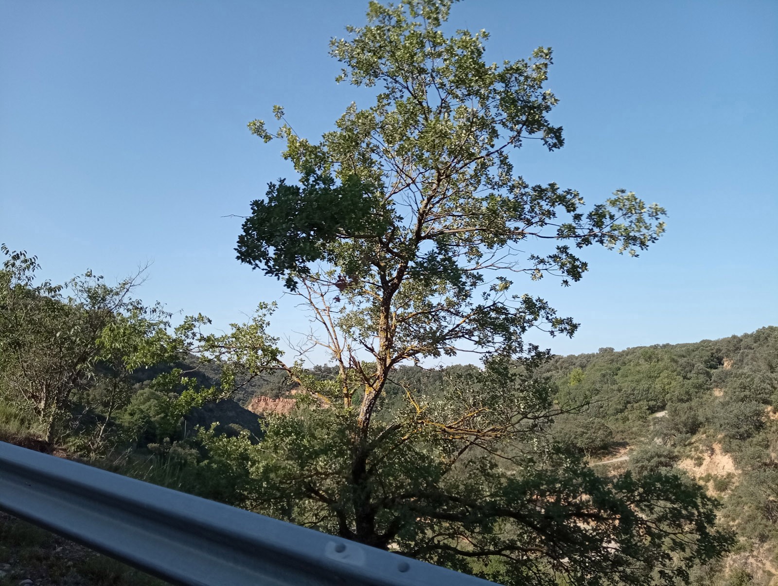 Img 20230625 093348
