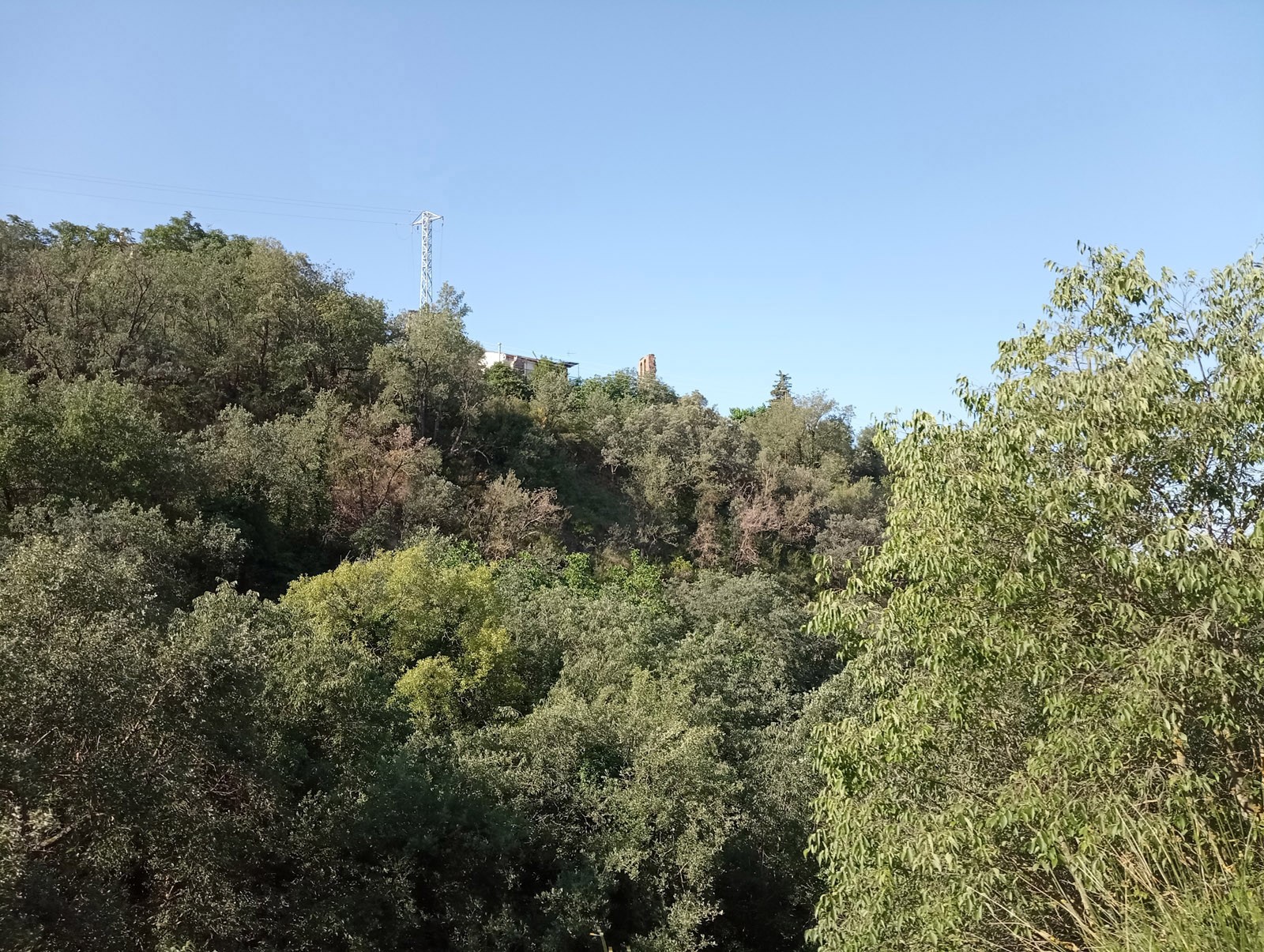 Img 20230625 093410