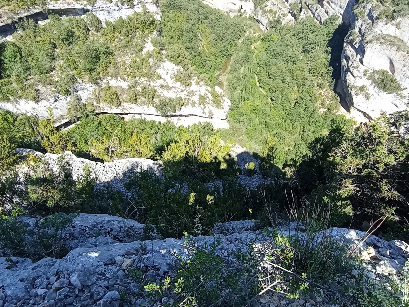 Img 20230625 102748
