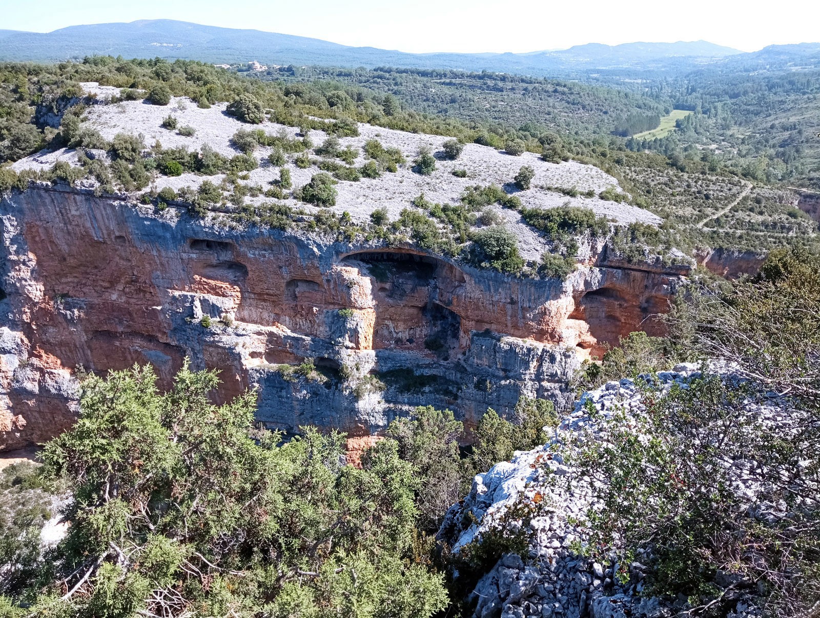 Img 20230625 103150