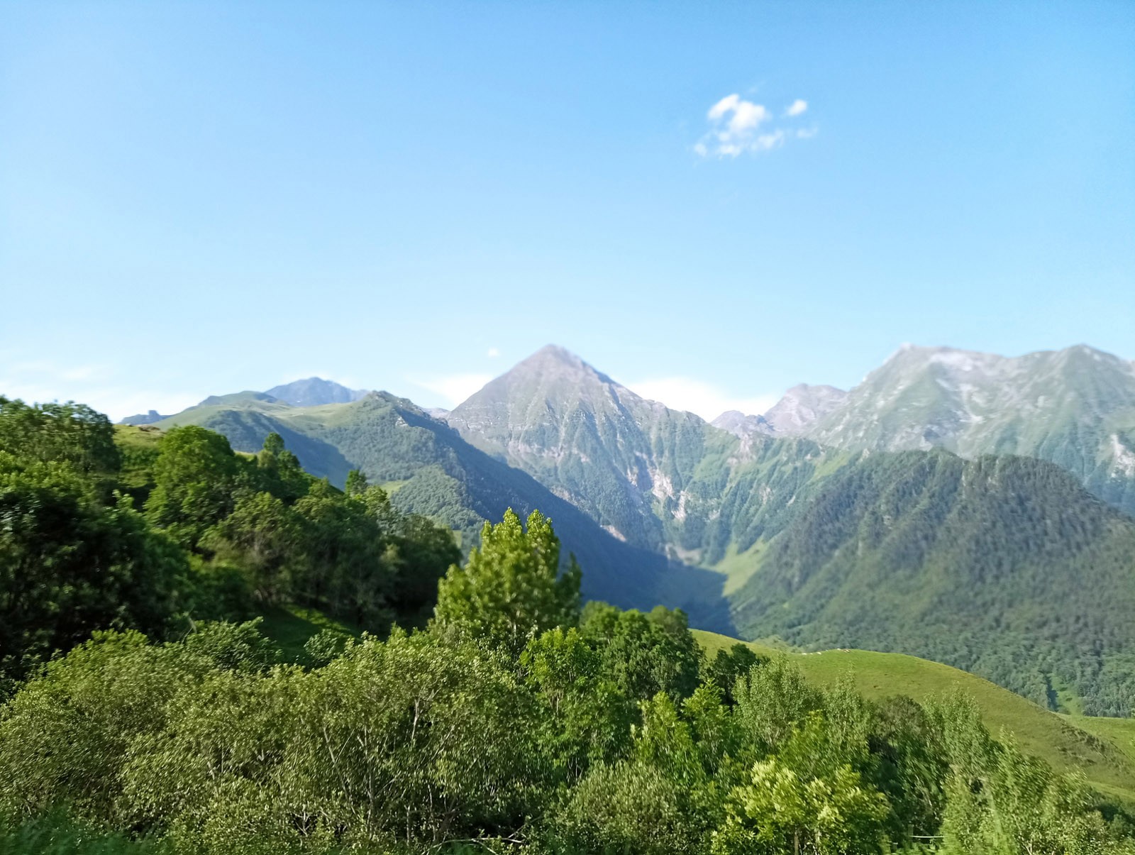 Img 20230709 091931