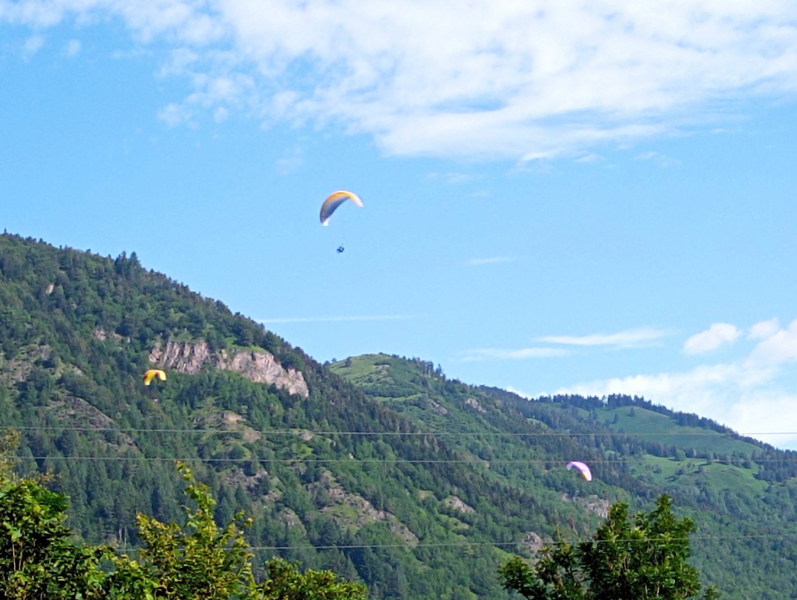Img 20230709 094113