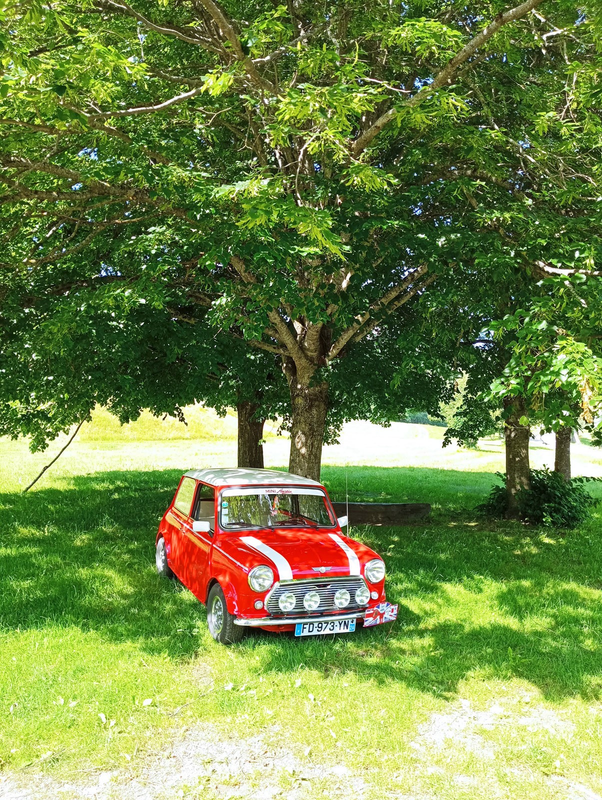 Img 20230709 101629