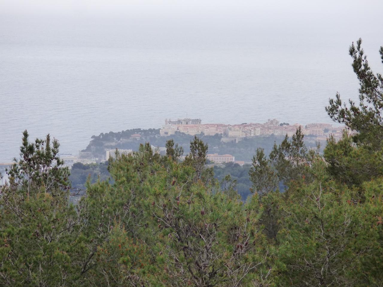 P1290219