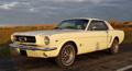 Mustang g pince